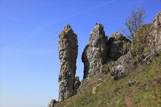 Ehrenbürg rock and the Walberla rock near Kirchehrenbach, Wiesenthauer Nadel, district of