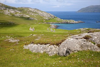 View over machair grassland to abandoned croft houses in the deserted village of Eorasdail,