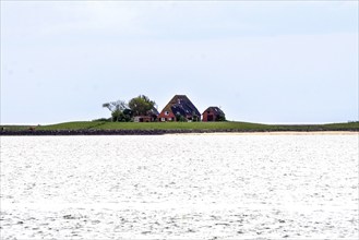 House on the Hallig Hooge, 24.05.2021