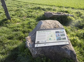 Information panel about Marlborough downs chalk landscape, Hackpen Hill, Wiltshire, England, UK