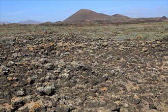 Rocky volcanic badlands 'malpais' landscape, Malpaís Grande national park, Fuerteventura, Canary