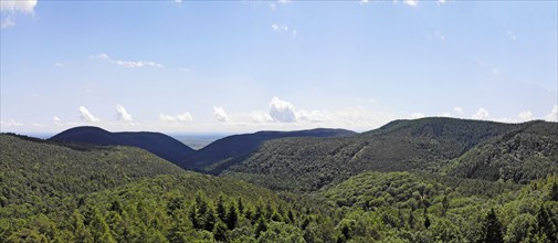 Panorama of the Palatinate Forest