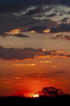 African sunset, sun, evening sky, romantic, romance, longing, emotion, travel, holiday, red sky,