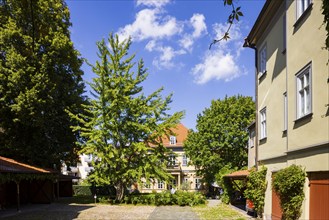 Lucas-Cranach-Straße 9, Gotha, Thuringia, Germany, Europe