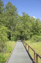 Stegweg, Schöneberger Südgelände Nature Park, Prellerweg, Schöneberg, Berlin, Germany, Europe