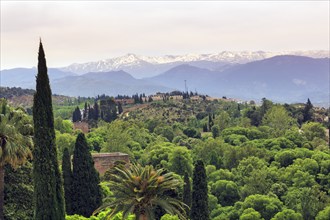 View from the Alhambra, snow-covered mountains in spring, Granada, Andalusia, Spain, Europe