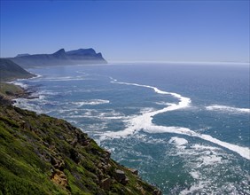 Cape Point Nature Reserve, Cape Point, Cape of Good Hope, Cape Peninsula, Western Cape, South