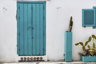 Turquoise green door, nopale (Opuntia) in tubs in front of a white façade, Las Negras,