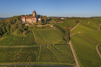 Lichtenberg Castle, Oberstenfeld, Bottwartal, Baden-Württemberg, Germany, Oberstenfeld,