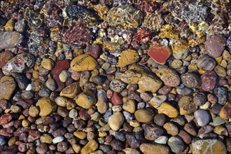 Colourful pebbles under clear water, forming a varied texture and natural patterns, Lambi beach,