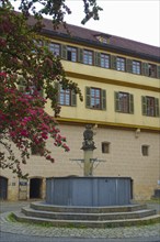 Hohentübingen Palace, fountain in the palace courtyard, University of Tübingen Museum MUT, higher