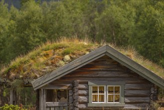 Wooden house, natural roof, grass roof, green roof, log house, natural log, mountain hut, Savalen,