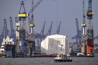 Port of Hamburg, Blohm + Voss shipyard, Dock 11, scaffolded ship, dry dock, Hamburg, Germany,