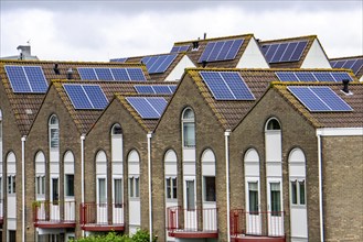 Solar modules on roofs, on pitched roofs of residential buildings, Vlissingen, Netherlands