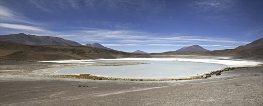 Salt lake Laguna Honda on the Altiplano, Bolivia, South America