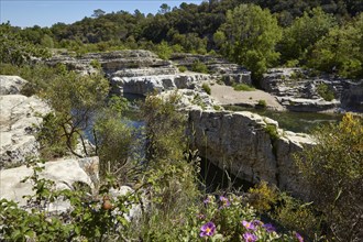 Limestone cliffs with vegetation and the river Cèze near La Roque-sur-Cèze, Département Gard,