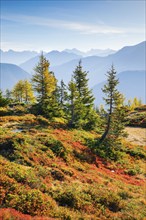 View of the Valais mountains in autumn, Lower Valais, Switzerland, Europe