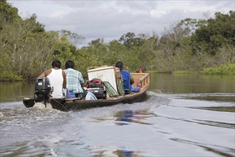 Local Bolivians moving furniture by canoe with outboard motor on the Yacuma River in the Pampas del