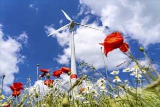 Wind farm near Brilon-Radlinghausen, Sauerland, North Rhine-Westphalia, Germany, Europe