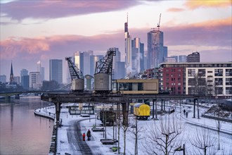 The skyline of Frankfurt am Main, skyscrapers of the banking district, historic harbour cranes at