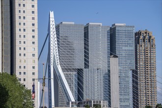 View of the tower blocks at Kop van Zuid, pillars of the Erasmus Bridge, Rotterdam, Netherlands