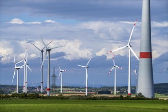 Wind farm near Radlinghausen, part of the town of Brilon, North Rhine-Westphalia, Germany, Europe