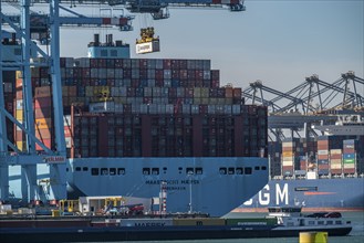 The seaport of Rotterdam, Netherlands, deep sea harbour Maasvlakte 2, on a man-made land area off