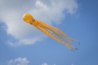 Yellow squid as flying dragon, octupus, wind, childhood, figure, blue sky, autumn, Germany, Europe