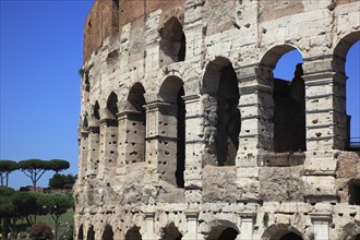 The Colosseum, Amphitheatrum Novum or Amphitheatrum Flavium, Colosseo, Anfiteatro Flavio,