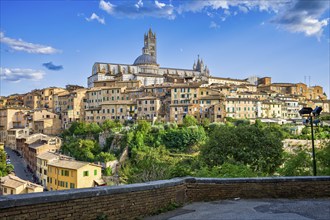 View of old town centre with cathedral, Siena, Tuscany, Italy, Europe