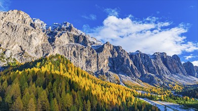 The peaks of the Sella Group with larch forest in autumnal colours, drone shot, Val Gardena,