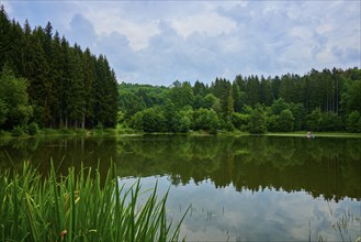 A tranquil lake in the middle of a dense forest, surrounded by green trees and a cloudy sky