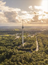 The television tower rises above an extensive wooded area, bathed in gentle rays of light,