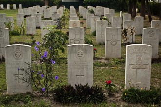 Tombs of armymen who died during the WWII (Fajara war cemetery at Serekunda, Gambia)