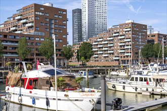 Rotterdam Marina, behind residential high-rise buildings at Spoorweghaven, pleasure craft harbour,