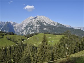 View across the Büchsenalm alpine pasture to the Watzmann with the Watzmann east face,