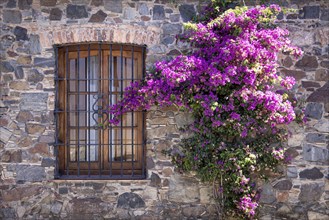 Uruguay, colonial streets of Colonia Del Sacramento in historic center of Barrio Historico, South