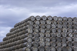 Huge stacks of discarded whisky casks, barrels at Speyside Cooperage, Craigellachie, Aberlour,