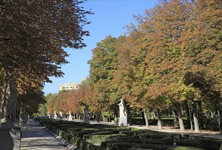 Trees in autumn colour, Paseo de la Argentina, El Retiro Park, Madrid, Spain, Europe