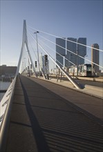 Erasmus Bridge, Erasmusbrug, spanning the River Maas designed by architect Ben van Berkel completed