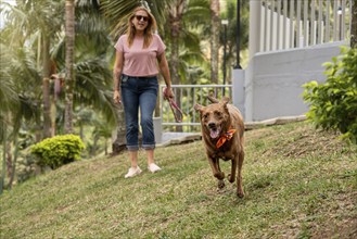 The exuberant and joyful dog runs towards the camera in the park, wearing a colorful bandana around