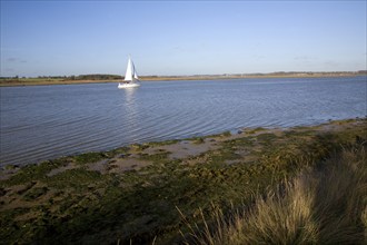 Sailing boat on River Deben, Suffolk, England, United Kingdom, Europe