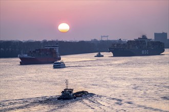 Evening shipping traffic on the Elbe, near Övelgönne, container freighter MSC Soraya arrives at