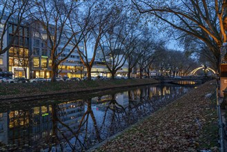 Königsallee, Kö, elegant shopping street in the city centre of Düsseldorf, city canal, Christmas