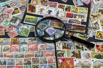 Stamp collection, collect, postage stamps, postage stamps from different countries, magnifying