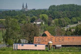 Farm near Xanten, sells fresh eggs from the farm, farm shop, Höhnshof, advertising on the red