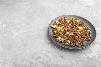 Quinoa porridge with green pea and chicken on ceramic plate on a gray concrete background. Side