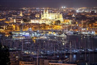 Panorama of Palma de Majorca, Bay of Palma, with the marina and the Cathedral of St Mary, Balearic