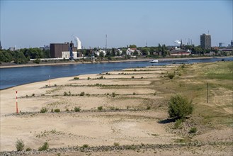 Rhine near Duisburg, extremely low water, Rhine level at 168 cm, falling, after the long drought