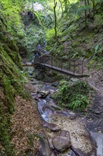 The Rastenbach Gorge near the village of Kaltern, in the Adige Valley in South Tyrol, Italy, Europe